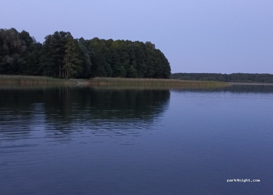 Pole namiotowe " Słoneczna Polana" Camping Gregor — foto 4