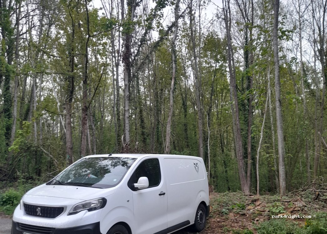 (78280) Guyancourt - Route Forestière du Breuil — foto 4