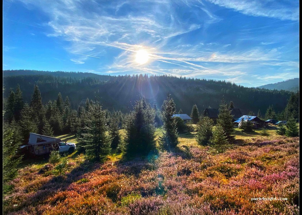 Black Sheep Camp — foto 4
