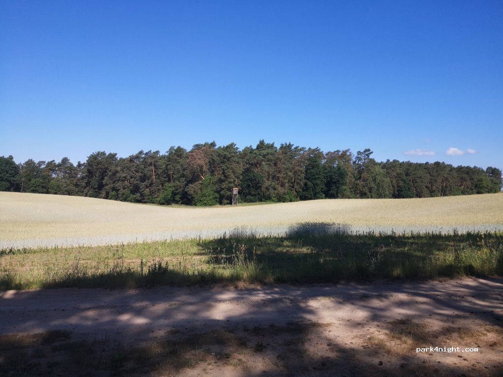 (16244) Schorfheide - 91 Üdersee Nord — foto 2