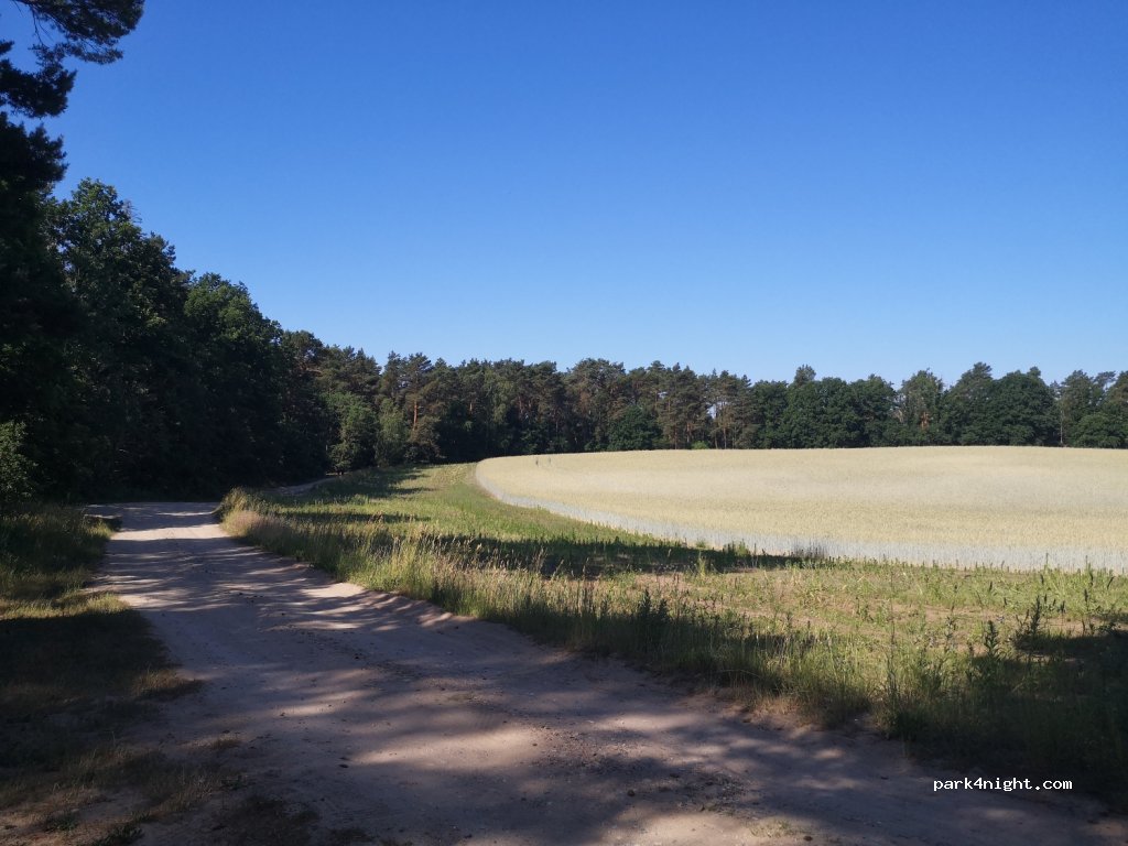 (16244) Schorfheide - 91 Üdersee Nord — foto 3