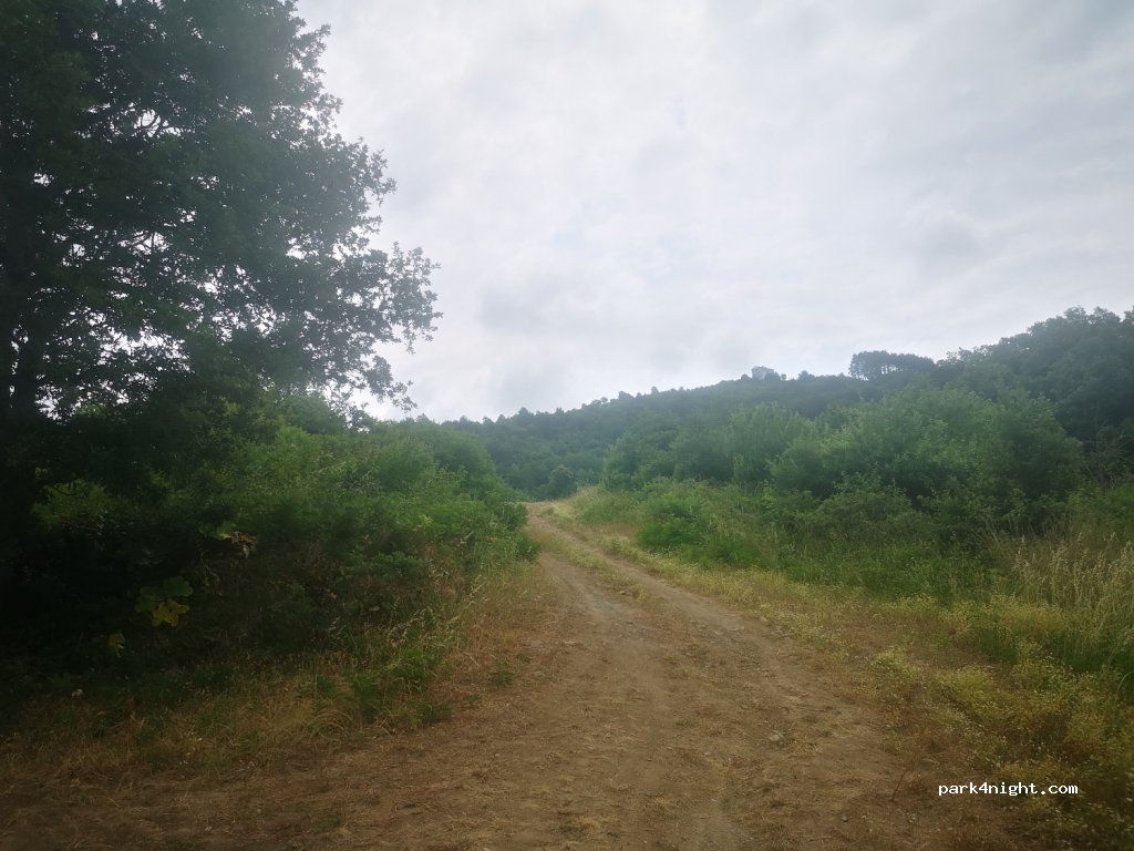 (37550) Belyaka - Bartın İnebolu Yolu — foto 4