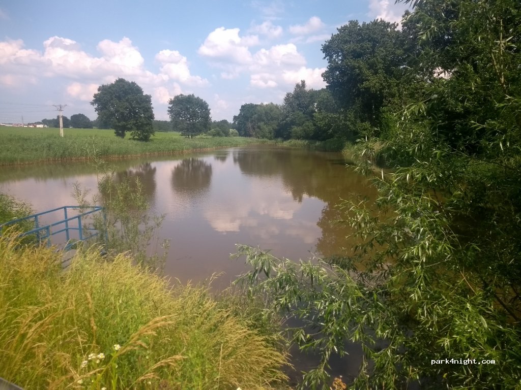 (42-675) Świętoszowice - 92 Mikulczycka — foto 2