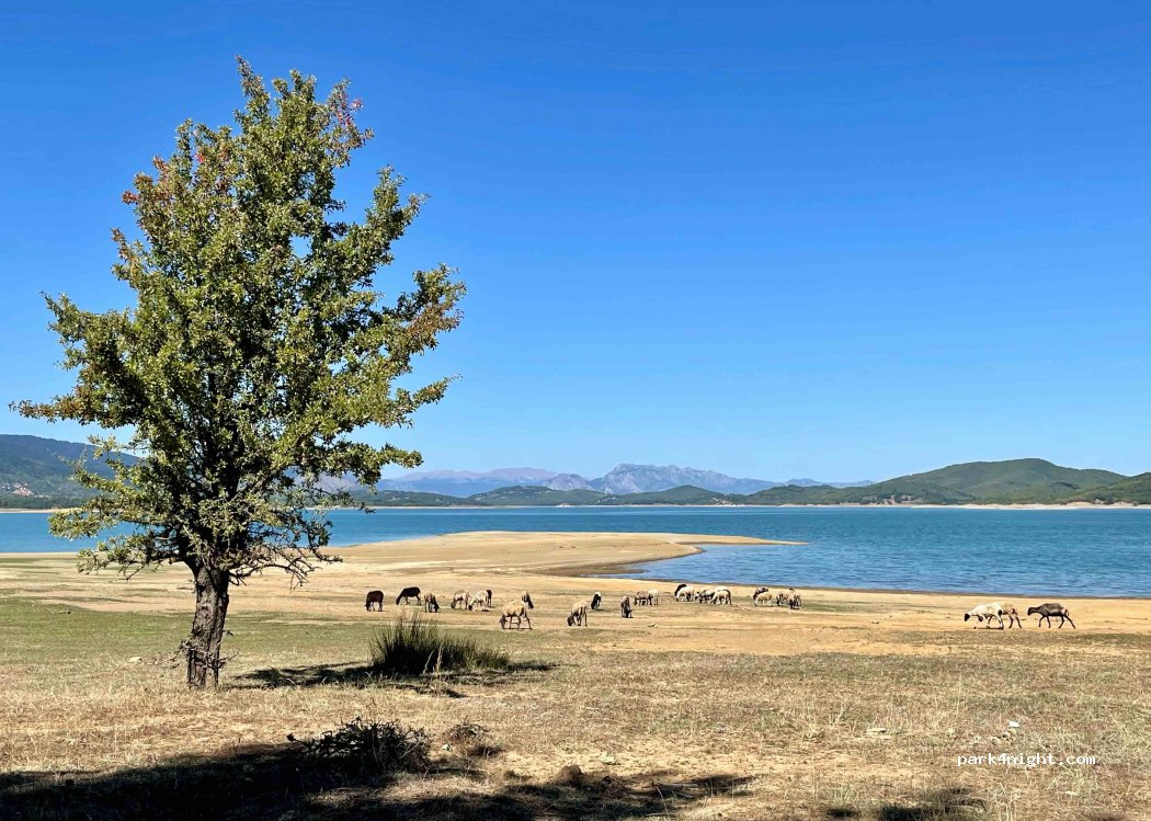 (431 00) Karditsa - Unnamed Road — foto 2