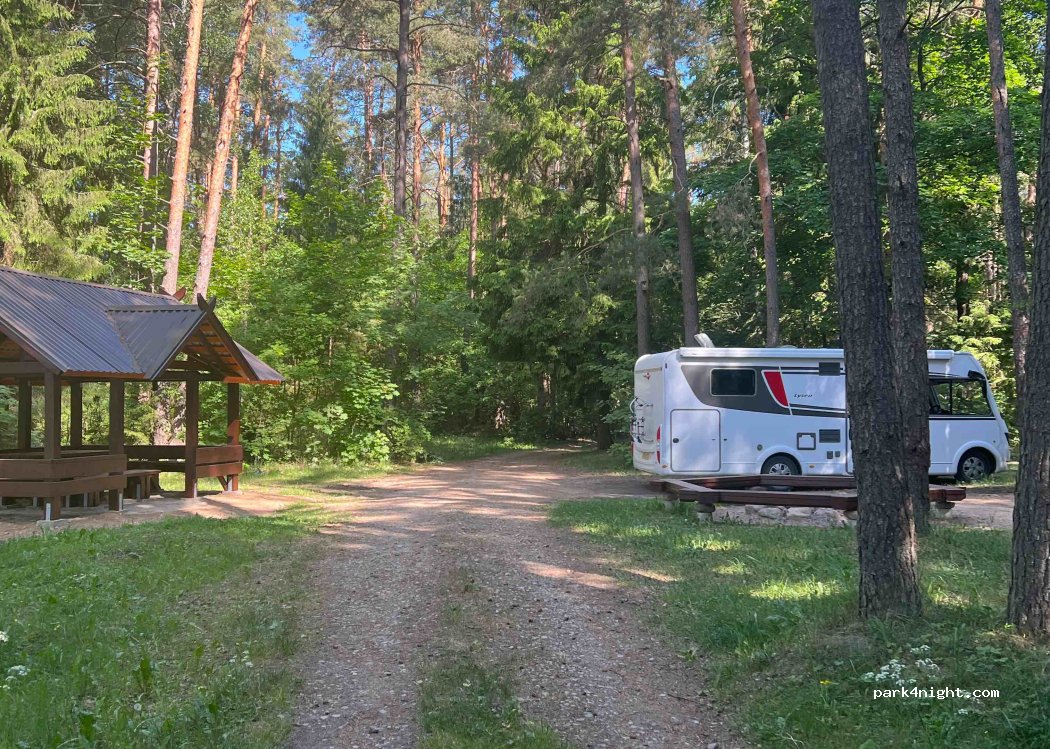 (29357) Svėdasai - — foto
