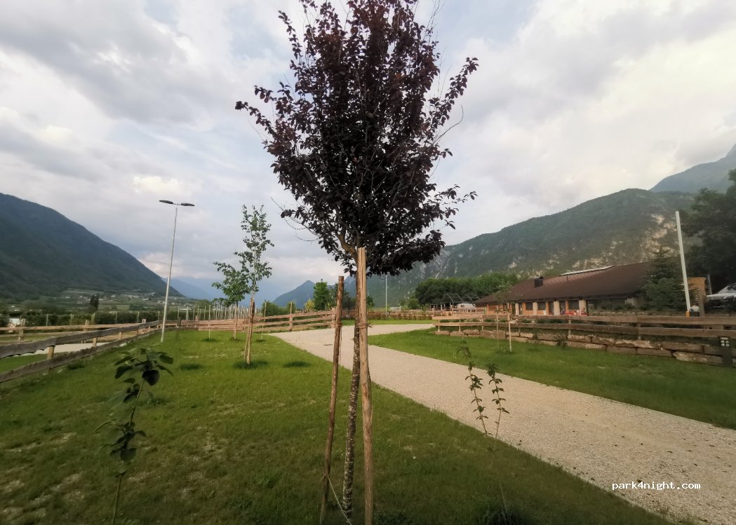 Agritur Airone Bed & Camping — foto 2