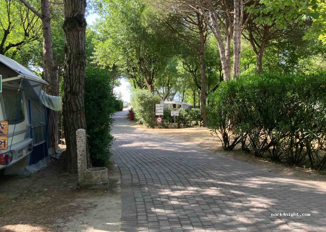 Camping Al Boschetto — foto 2