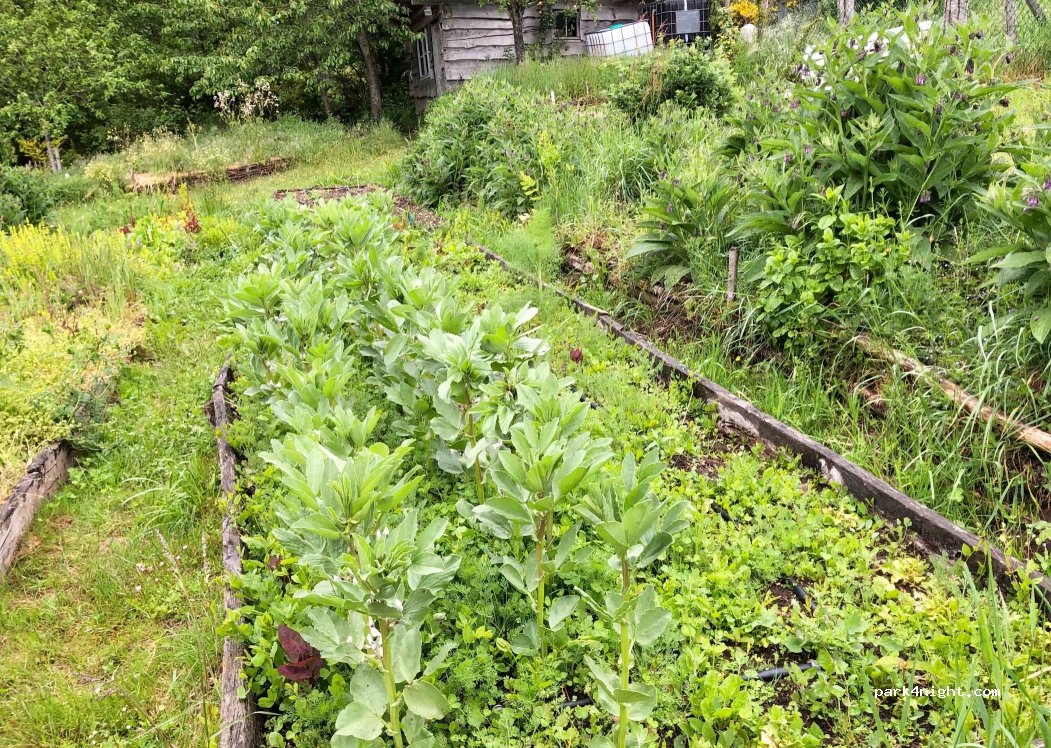 La Ferme de la Goursaline — foto 4