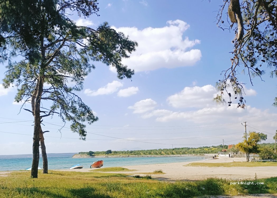 (48200) Muğla - 151 Merkez Sokak — foto 2