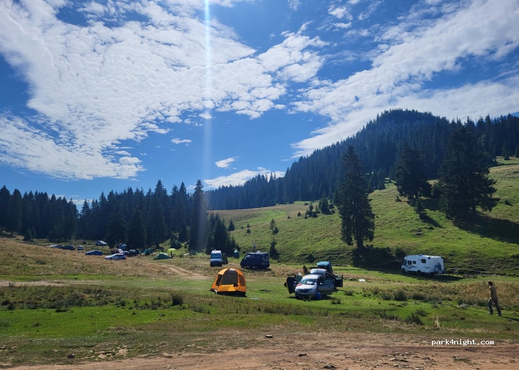 () Padiş - Spre Padis — foto