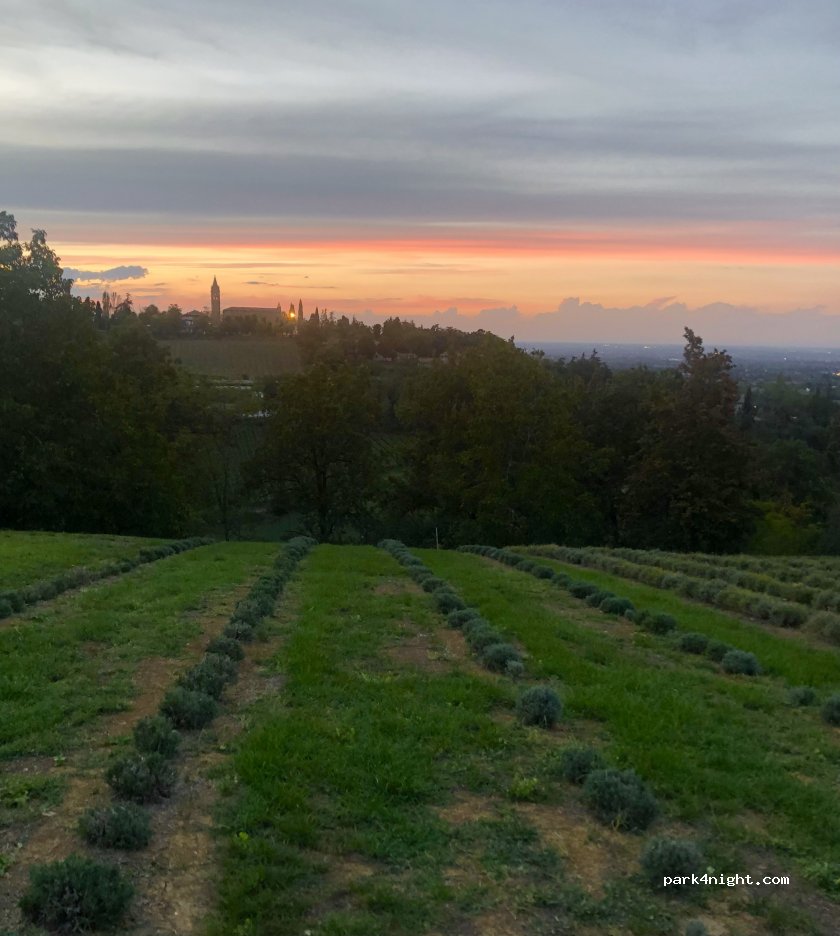 Lavandeto Antico Casale — foto 3