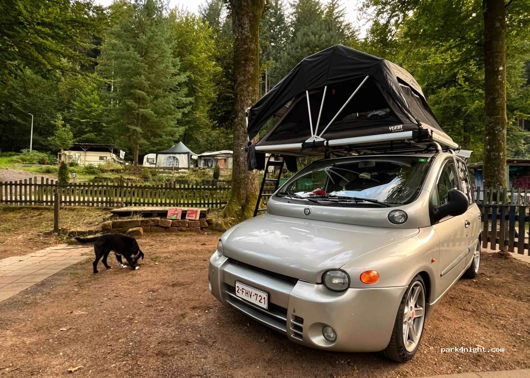 Campingplatz am Gelterswoog — foto 3