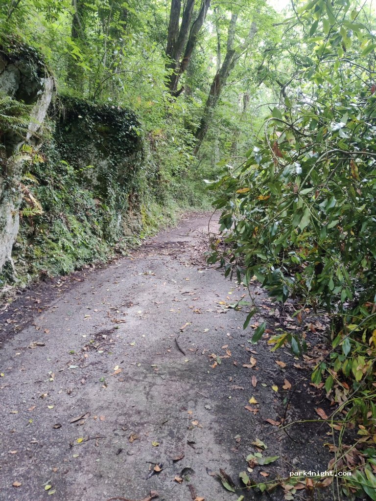 (33597) Vidiago - Autovía del Cantábrico — foto