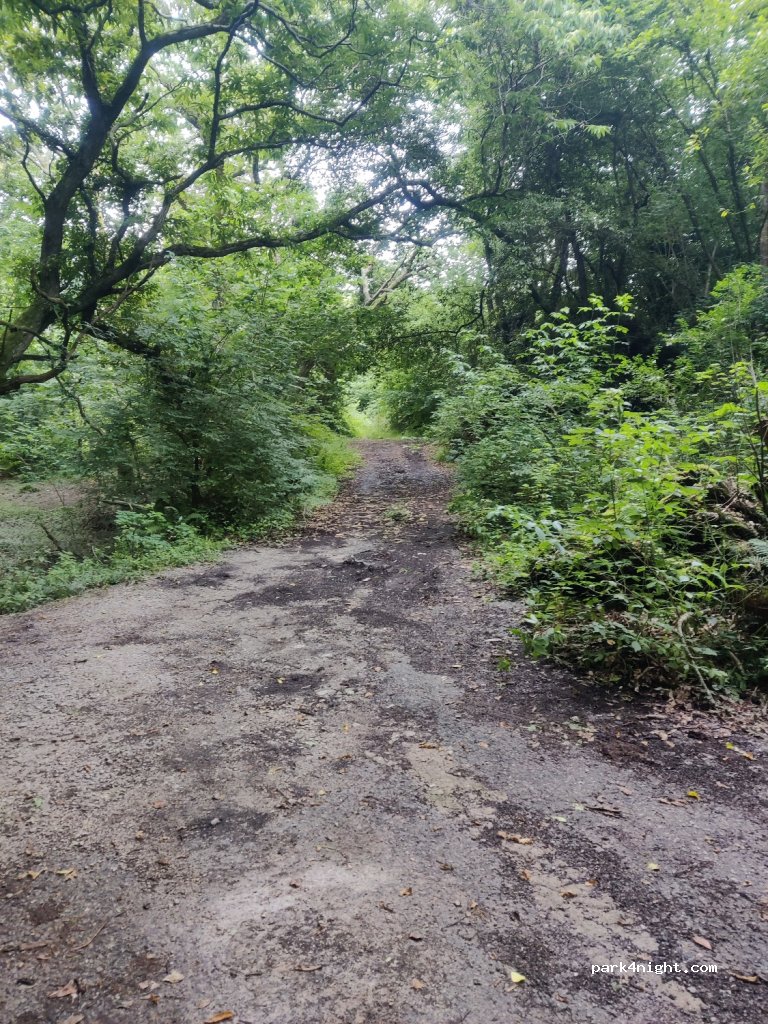 (33597) Vidiago - Autovía del Cantábrico — foto 3