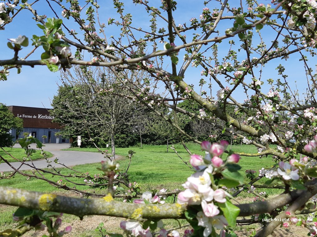 Cidrerie Kerloick — foto 2