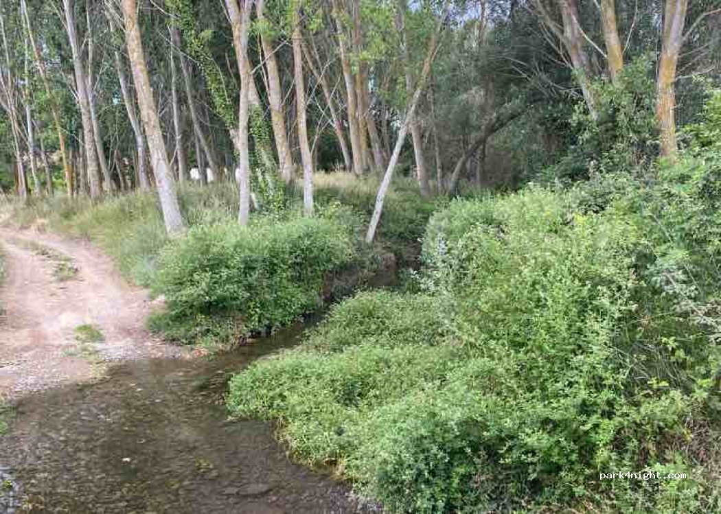 (50547) Bureta - 14 Carretera de Borja — foto 4