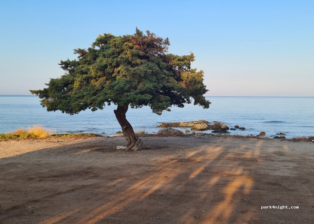 (190 13) Thimari - Leoforos Athinon Souniou — foto 4