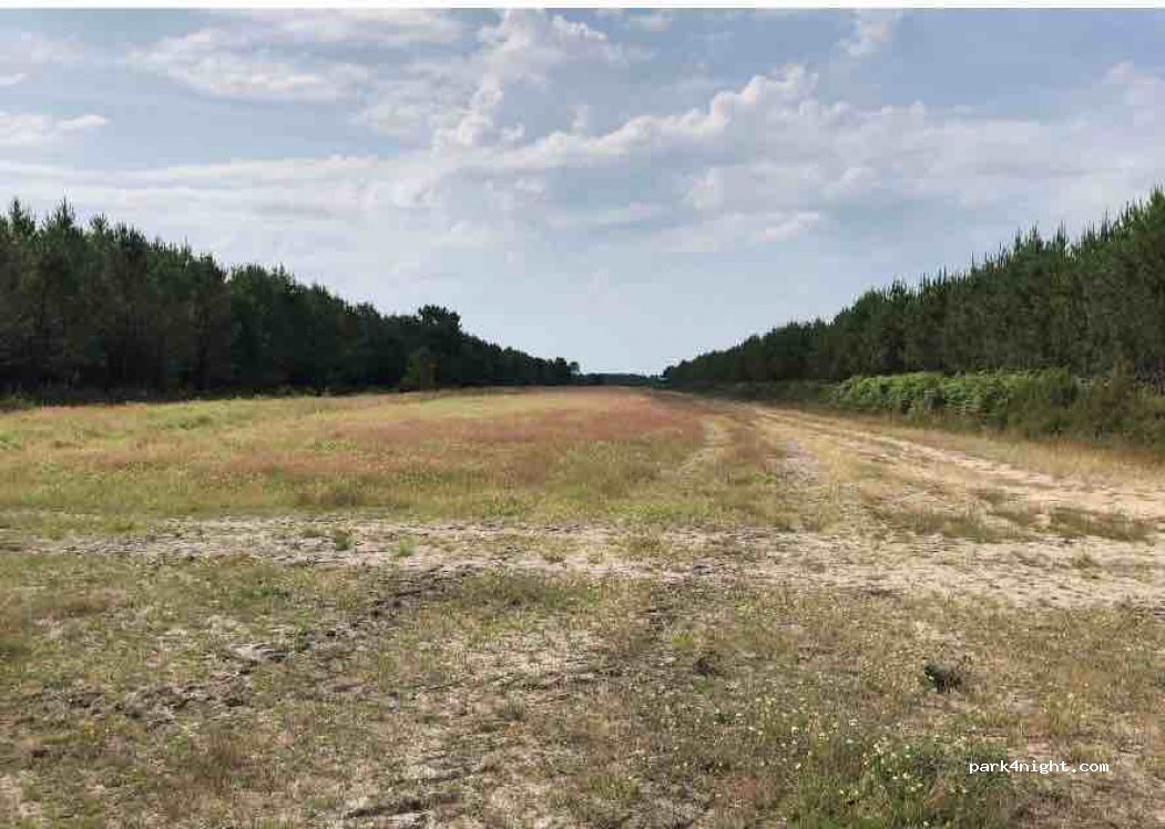 (40410) Saugnacq-et-Muret - Unnamed Road — foto 2