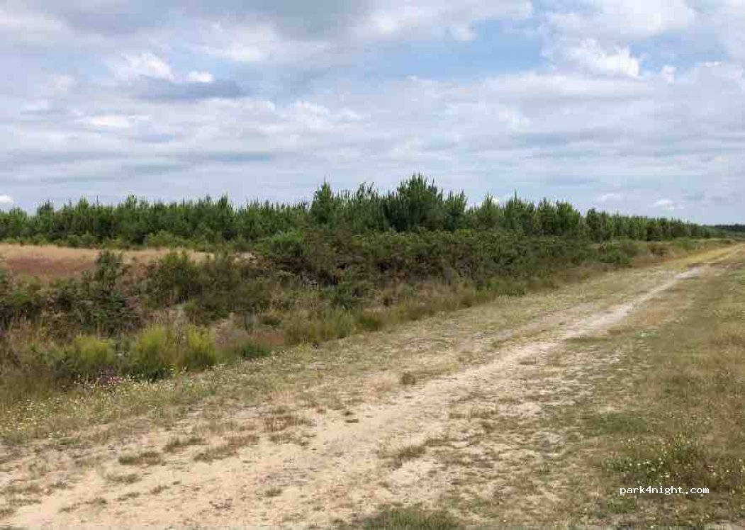 (40410) Saugnacq-et-Muret - Unnamed Road — foto 3