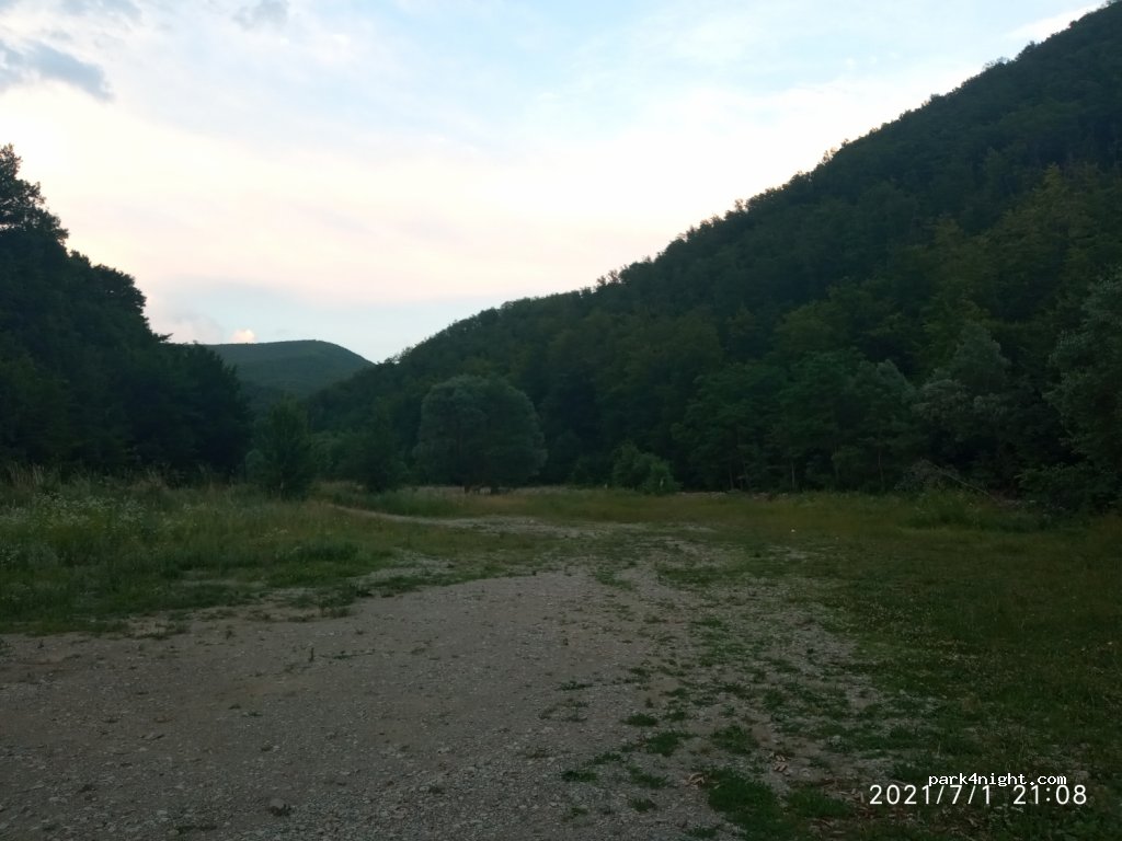 () Poiana Galdei - 61 DJ107K — foto