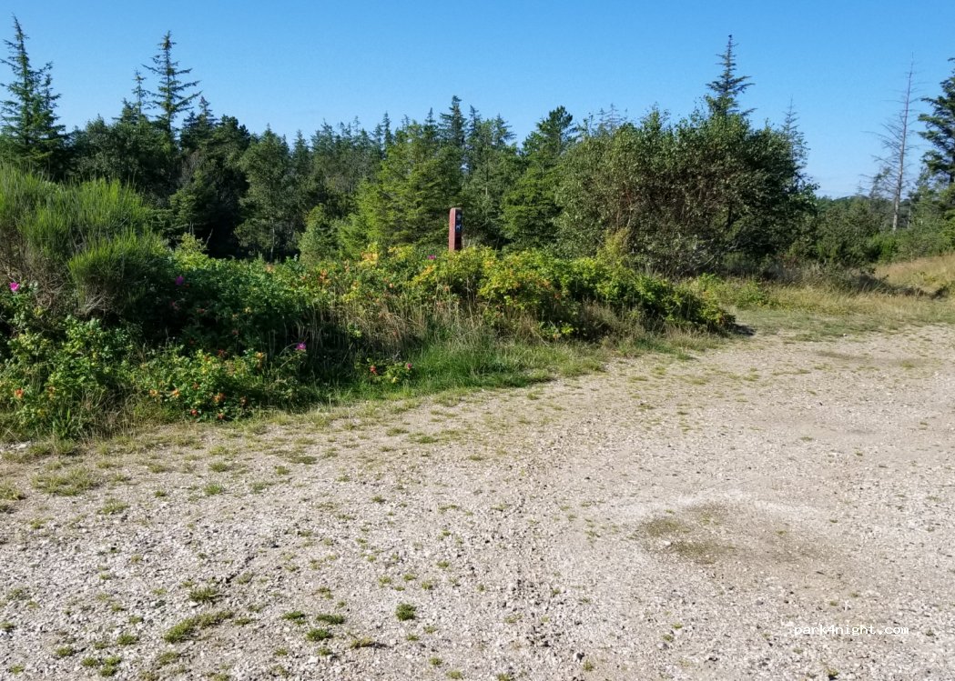 (9990) Skagen - Chr. Jensens Vej, end of road — foto 2