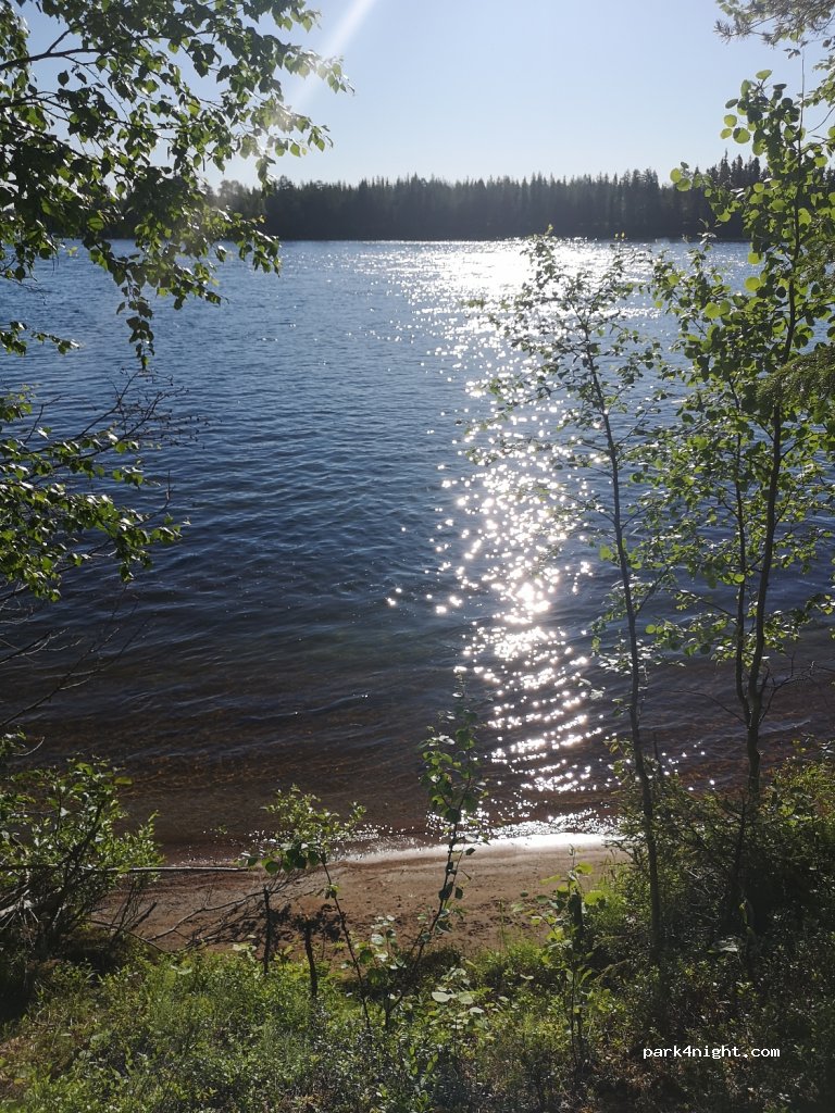 (980 61) Heinonen - 49 SAARISUANTO — foto 3