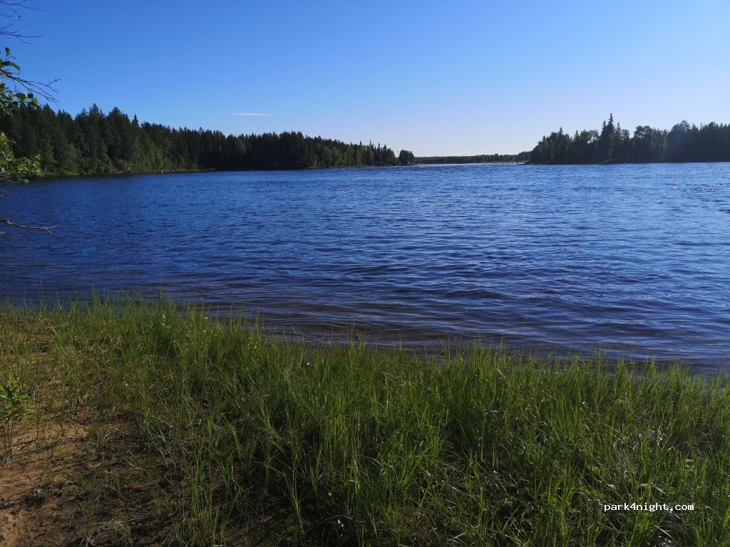 (980 61) Heinonen - 49 SAARISUANTO — foto 4