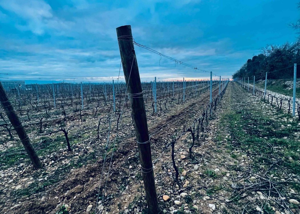 Domaine des Louis — foto 2
