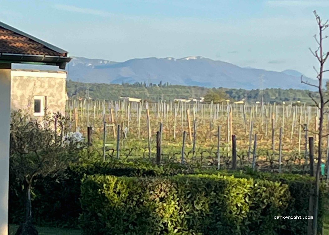Domaine des Louis — foto 5
