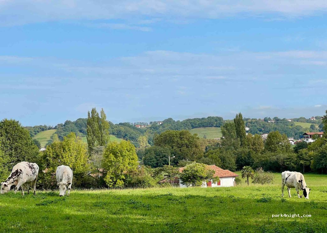 Camping Aire Naturelle Maison Donamartia — foto 5