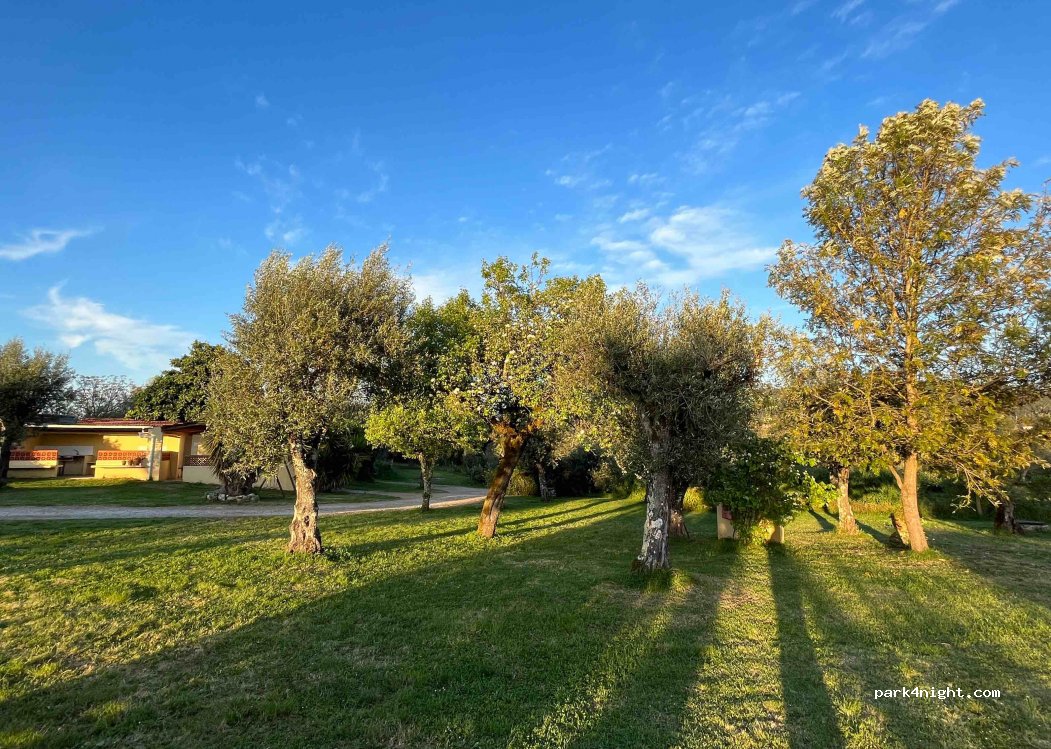 Quinta da Cerejeira — foto 2