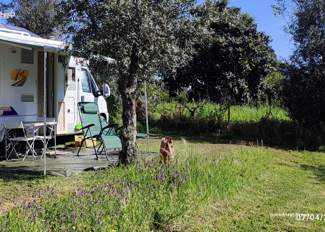 Quinta da Cerejeira — foto 3