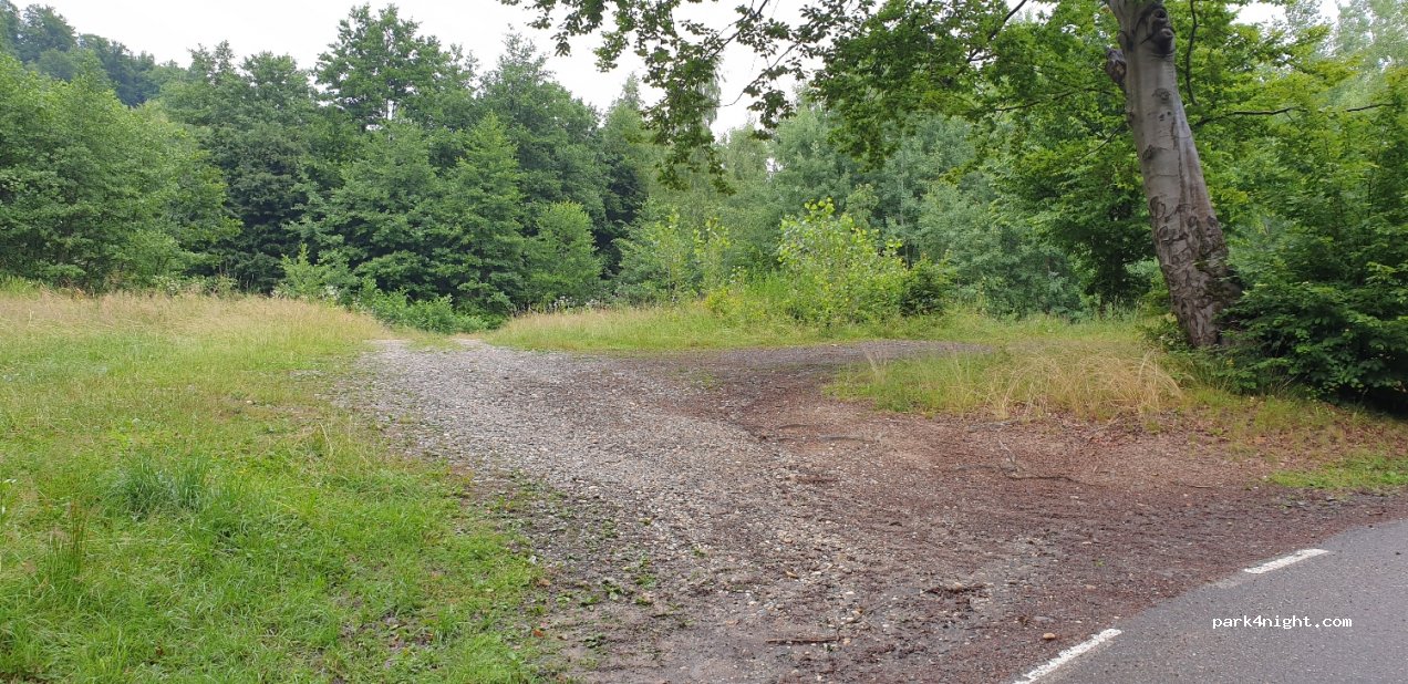 (437345) Nistru - Unnamed Road — foto 4