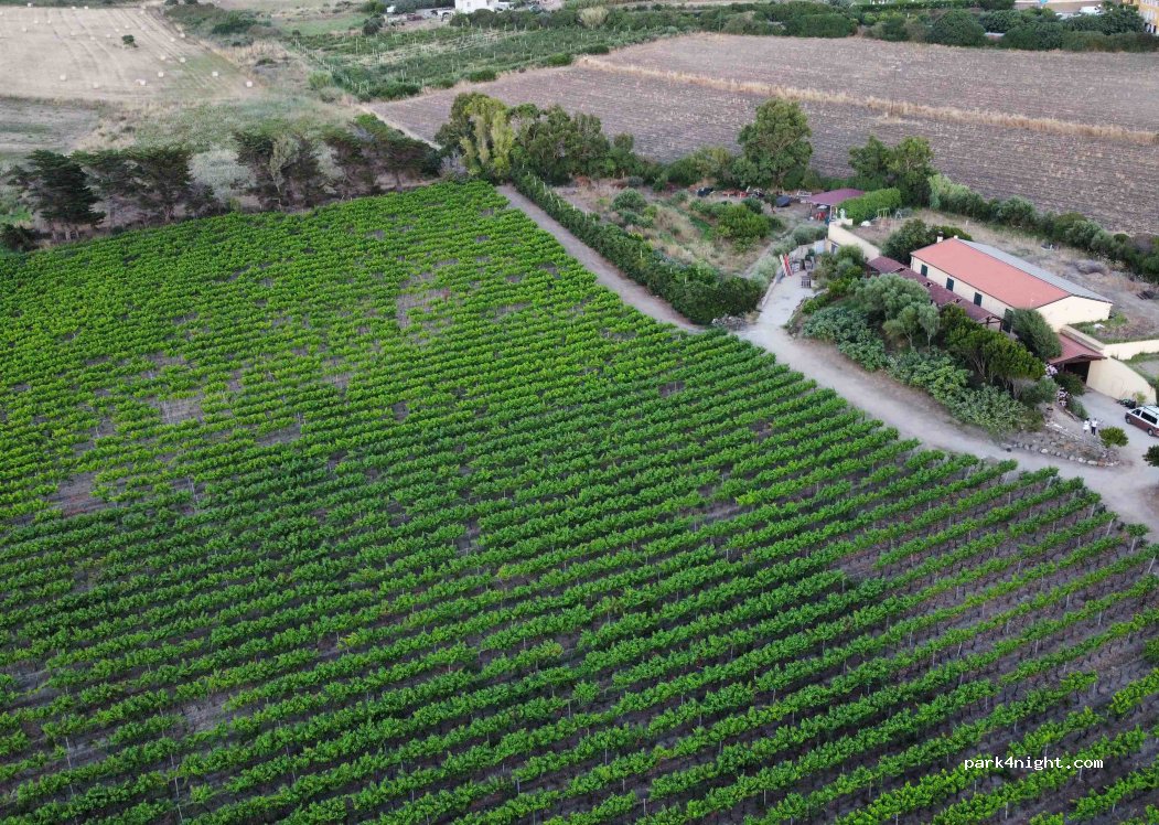 Cantina Ligios - Winery — foto