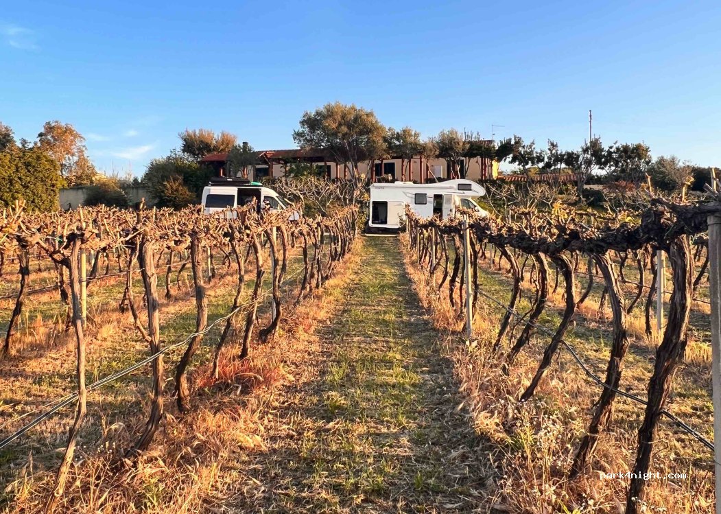 Cantina Ligios - Winery — foto 3