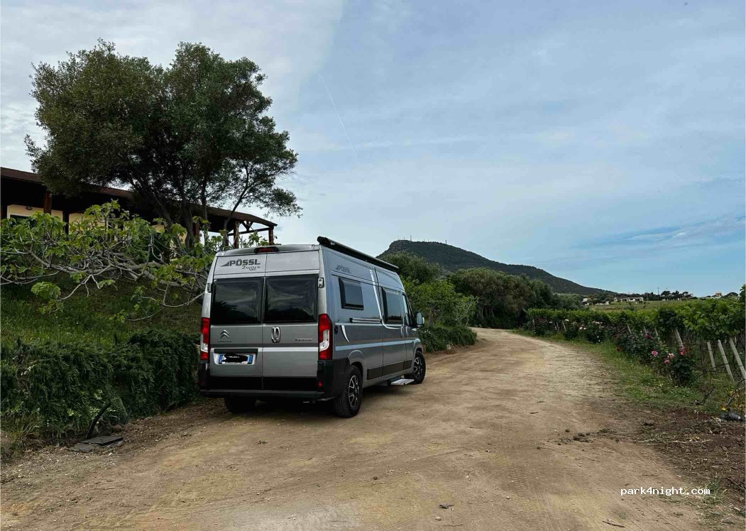 Cantina Ligios - Winery — foto 5