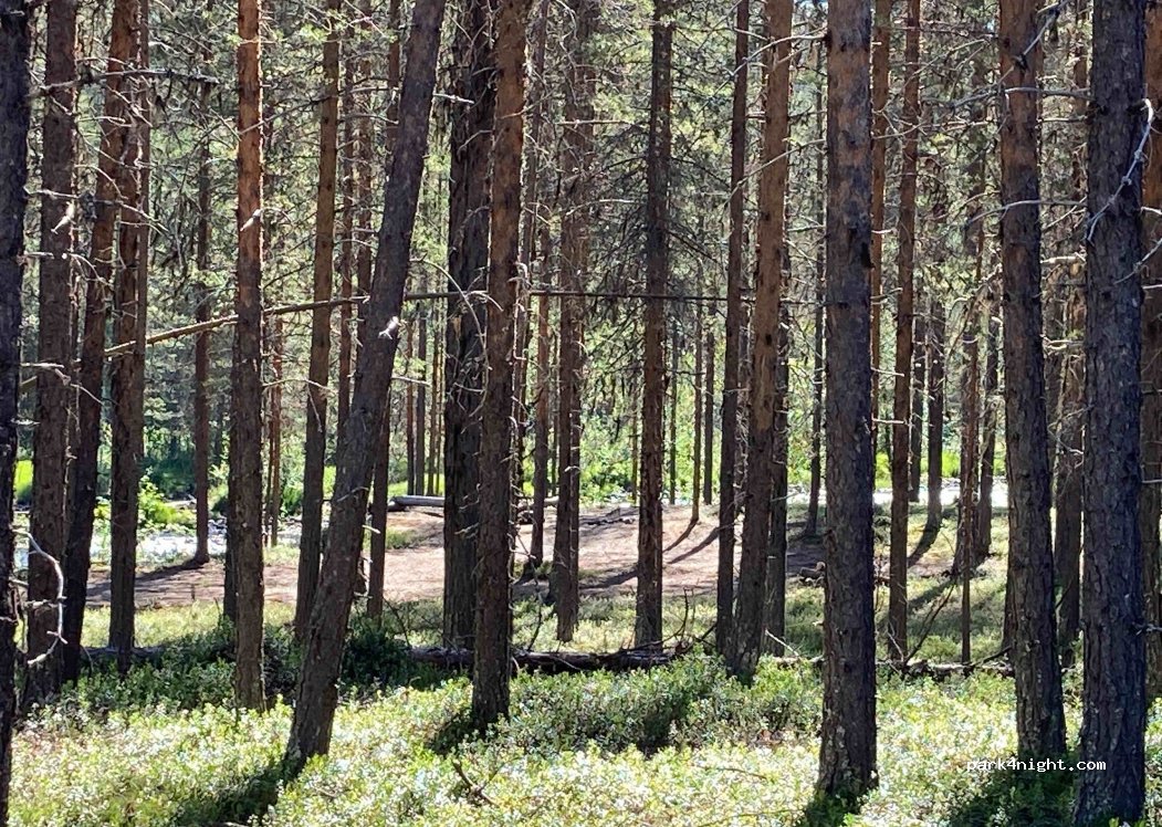 (930 86) Moskosel - Unnamed Road — foto