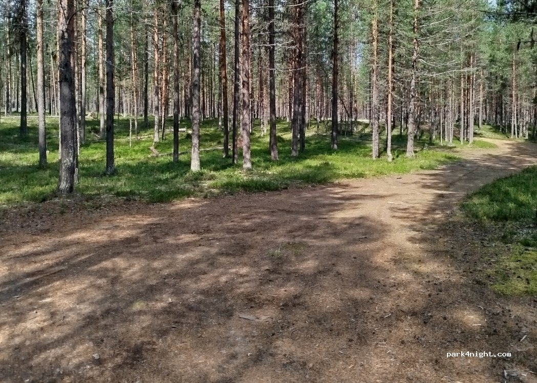 (930 86) Moskosel - Unnamed Road — foto 4