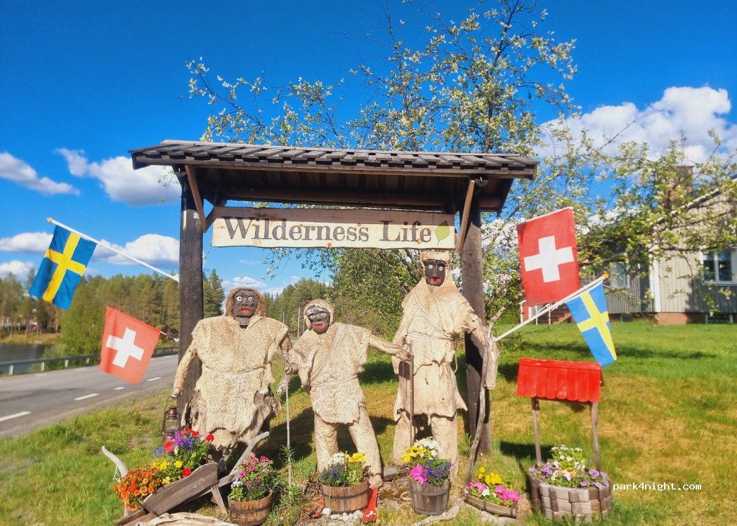 Wilderness Life — foto