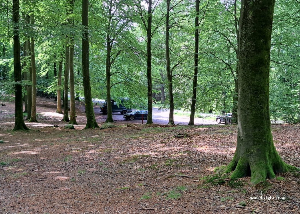 (3500) Værløse - 2 Skovlystvej — foto 4
