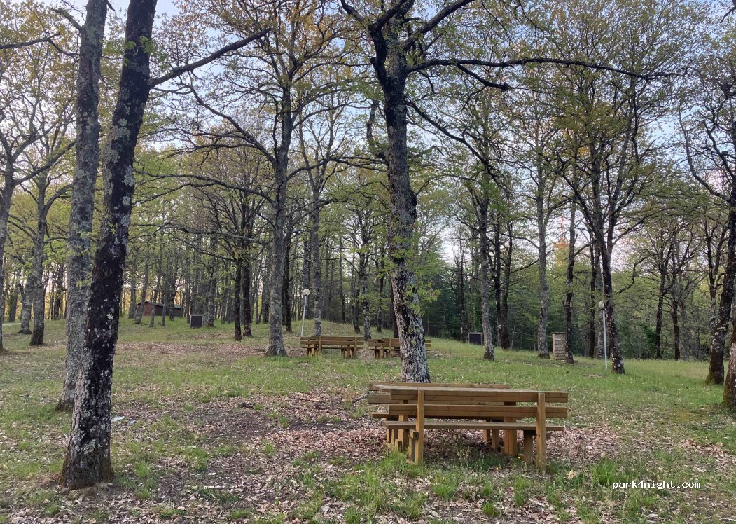 (05018) San Venanzo - — foto 3