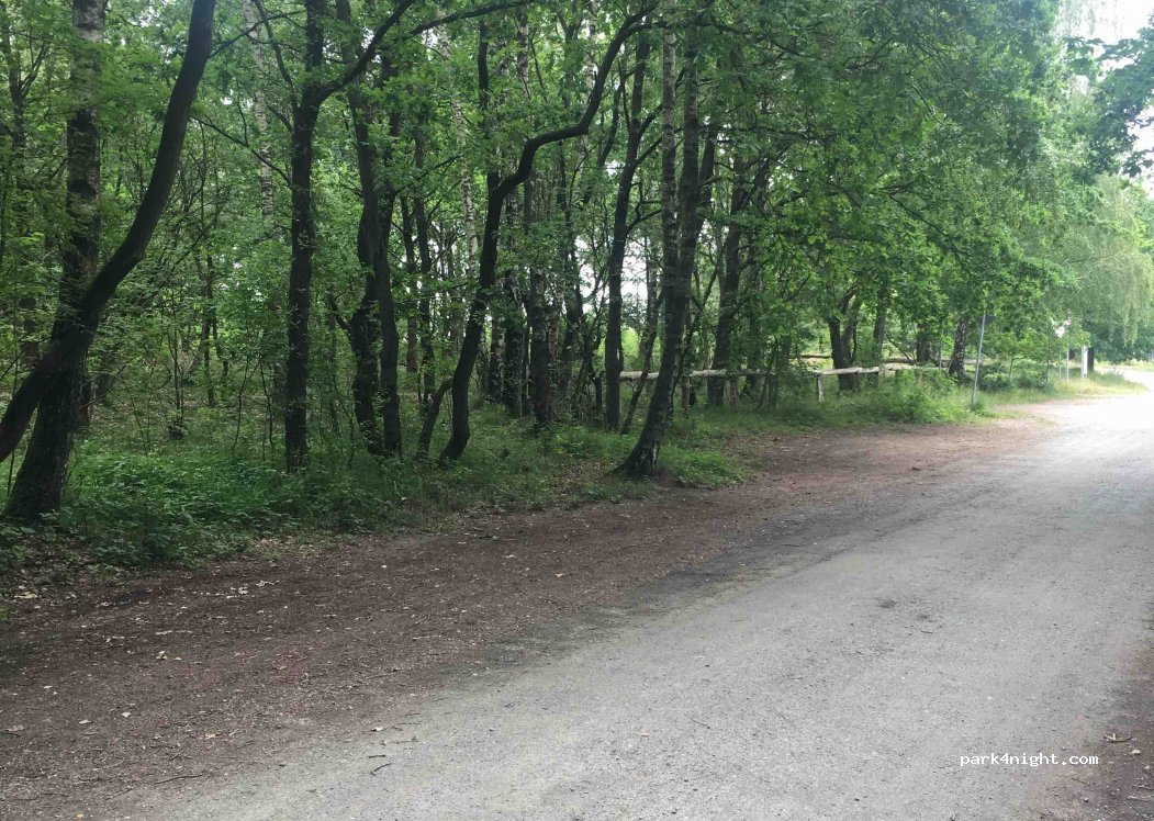 (27476) Cuxhaven - 1 Sahlenburger Forstweg — foto