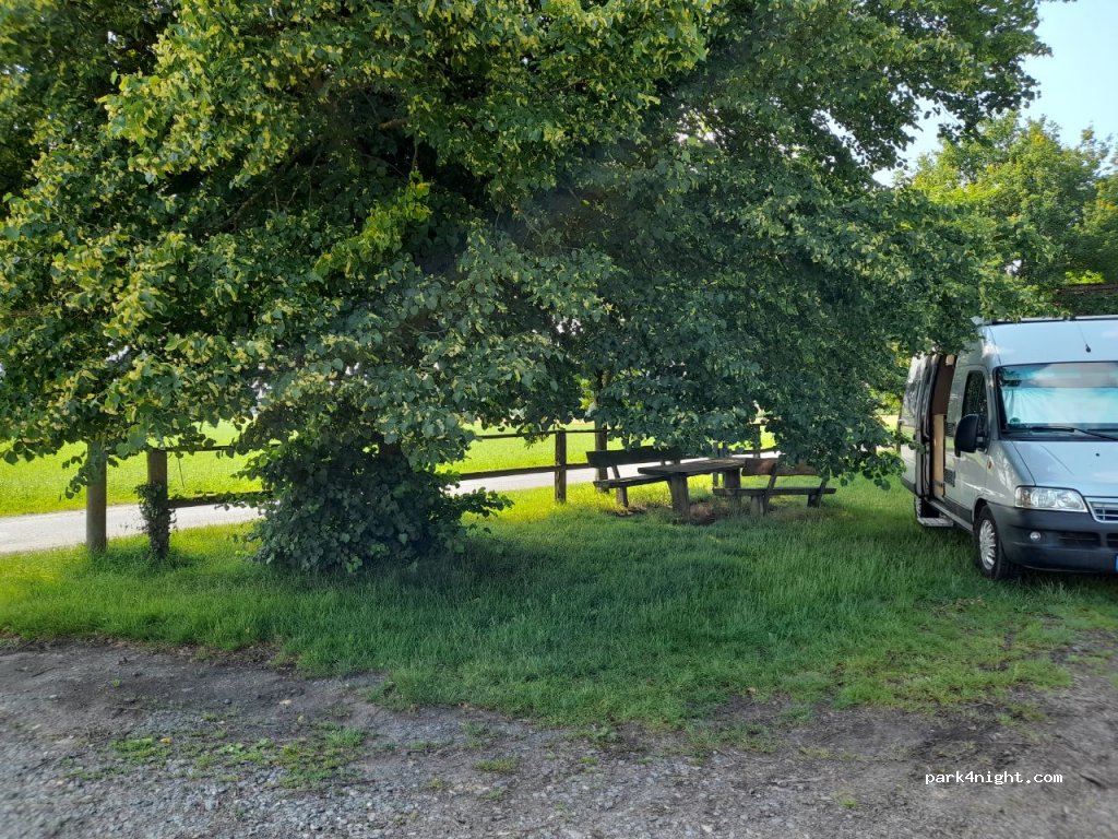 (59394) Nordkirchen - 1 Altefelds Holz — foto