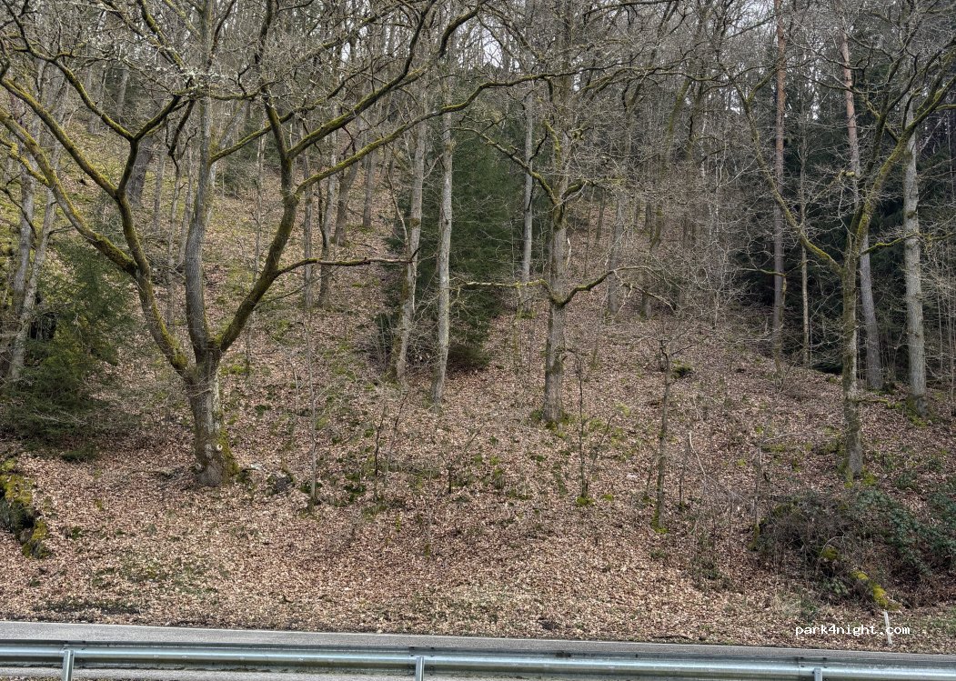 (6660) Houffalize - 43 Rue de la Roche — foto 3