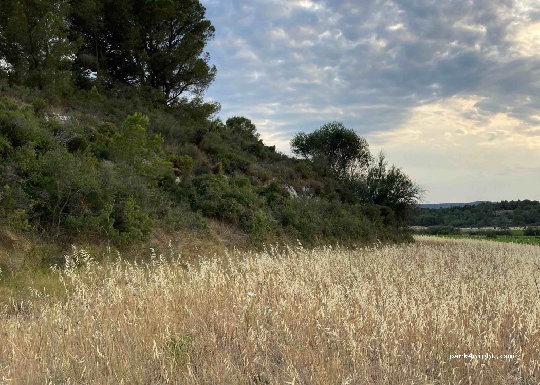 (11100) Bages - D105 — foto