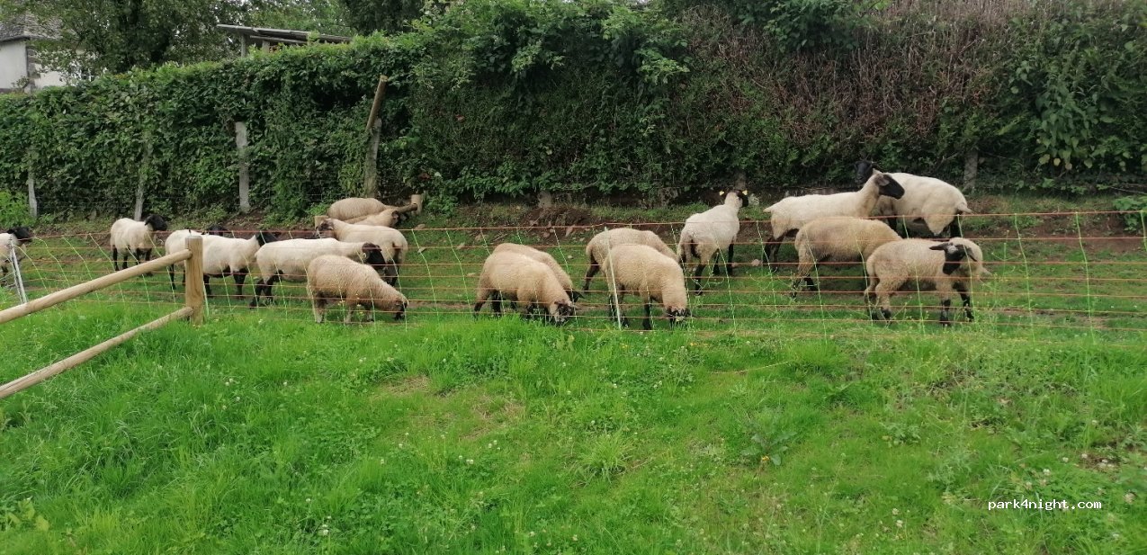 (15310) Saint-Cernin - 9 Impasse Pré de Lafont — foto 2