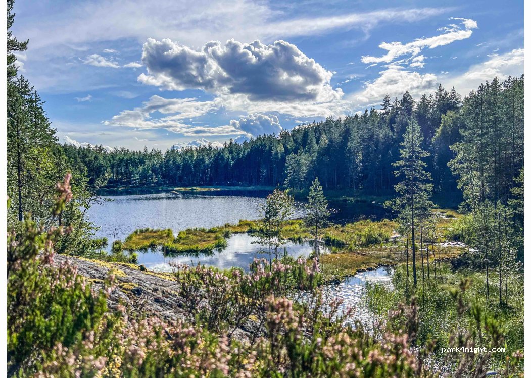 (71200) Tuusniemi - 54 Seinävuorentie — foto 4