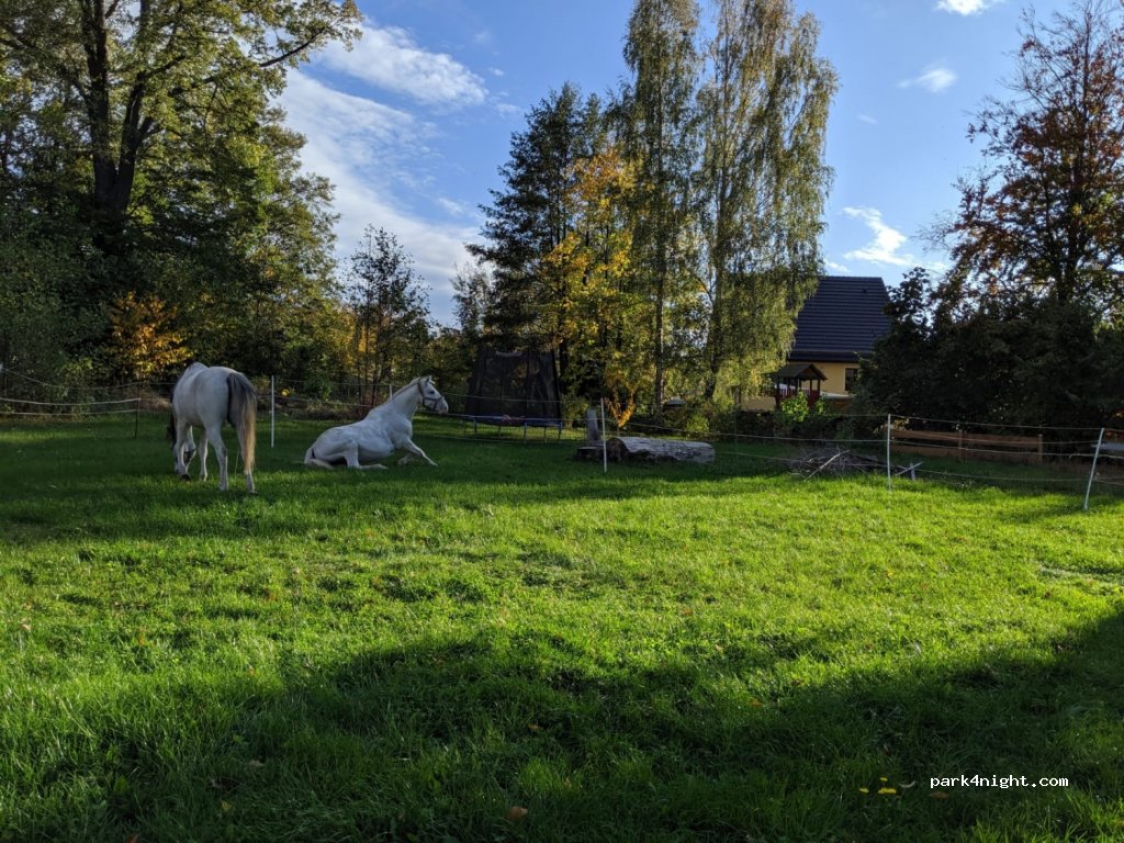 (01737) Tharandt - 40 Dorfstraße — foto 2
