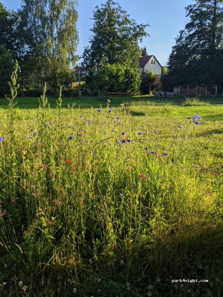 (01737) Tharandt - 40 Dorfstraße — foto 3