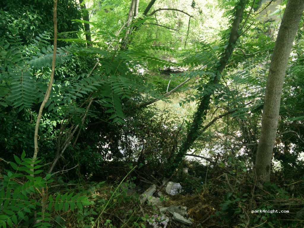 (54014) Casola in Lunigiana - Strada Provinciale 15 — foto
